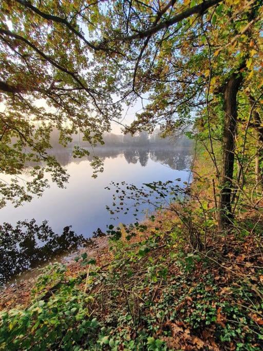 Ferienhaus Blauer See Mit Optionalem Hot-Tub Bockhorn  Exterior photo