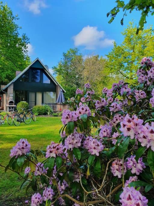 Ferienhaus Blauer See Mit Optionalem Hot-Tub Bockhorn  Exterior photo